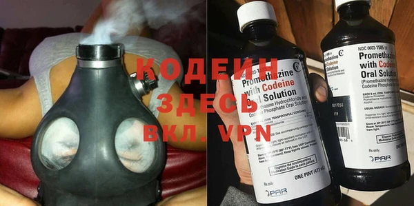 индика Аркадак
