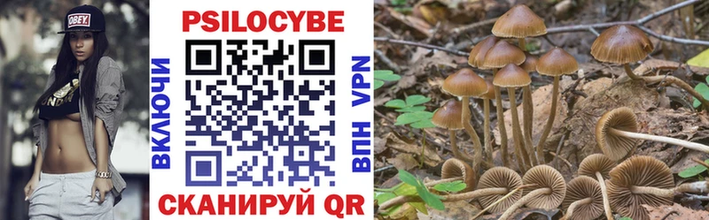 Галлюциногенные грибы Magic Shrooms  Волчанск 